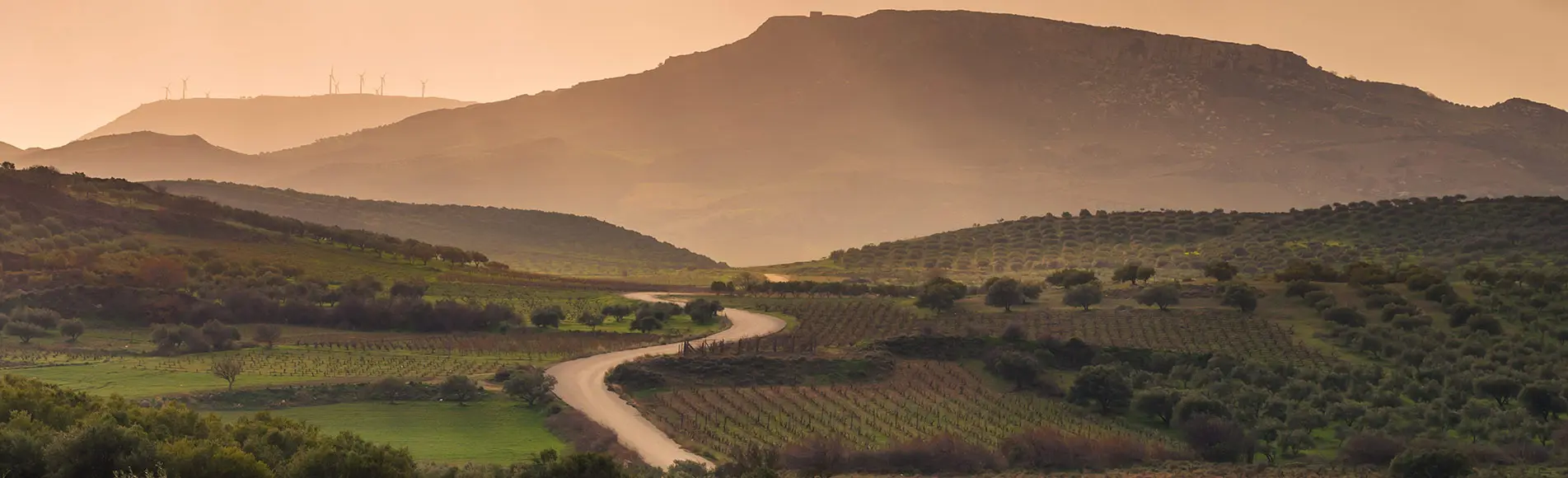 Car Rental Malia, Rent Car & Car Hire Malia Crete | OLYMPIC